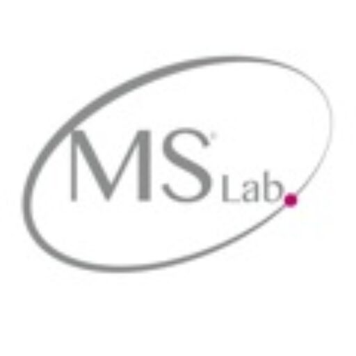 Logo MSLAB