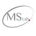 Logo MSLAB